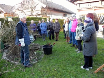 Rosenschnittkurs in Rankweil