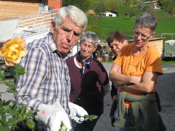 Rosenschnittkurs nach der Blüte in Laterns