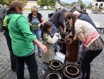Sauerkraut selber einmachen - ein Gesundheitspaket