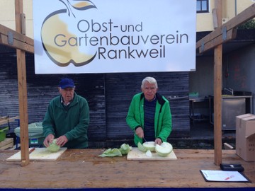 Sauerkraut selber machen