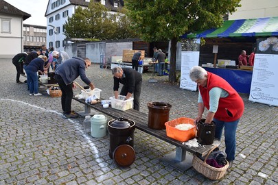 Sauerkraut selber machen
