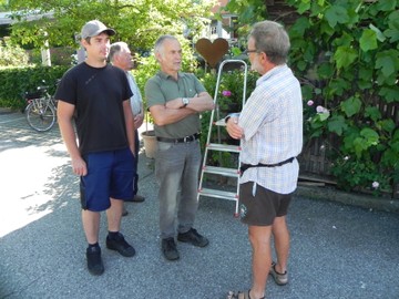 Sommerbehandlung von Reben