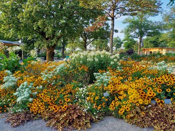 Unsere Vereinsfahrt zur Landesgartenschau in Wangen am 23. Mai.