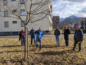 Veranstaltungen im Frühling