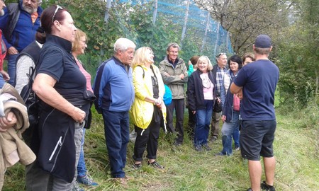 Weingartenrundgang mit Hock im Buschenschank der Familie Nachbaur