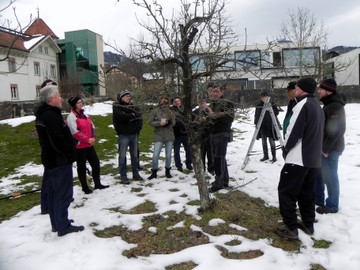 Winterschnittkurs