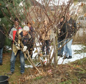 Rosenschnittkurs in Laterns
