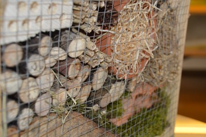 Wir bauen ein Insektenhotel