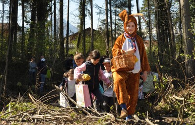 Osterhase im Wald unterwegs.jpg