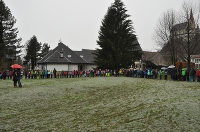 anfang (3).JPG