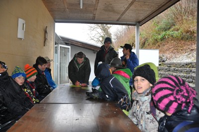 hausklosterreben.JPG