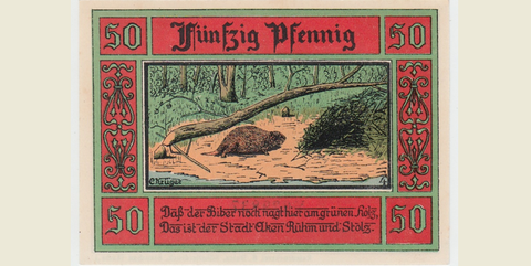 "Kein Baum ist vor ihm sicher"