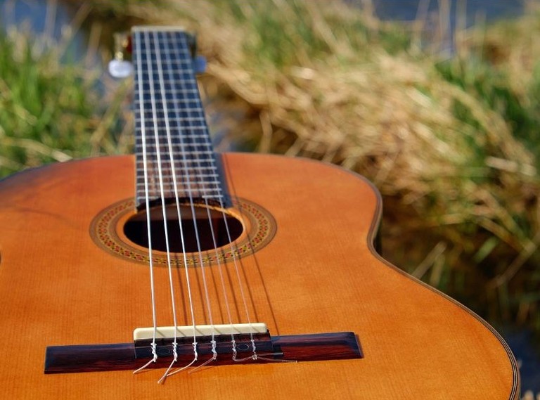 Bild von Gitarre in der Natur
