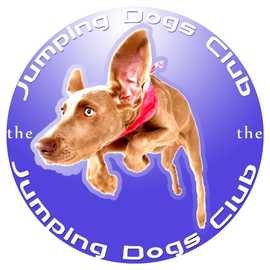 Dänceparty mit dem DJ Kollektiv "Jumping Dogs Club"