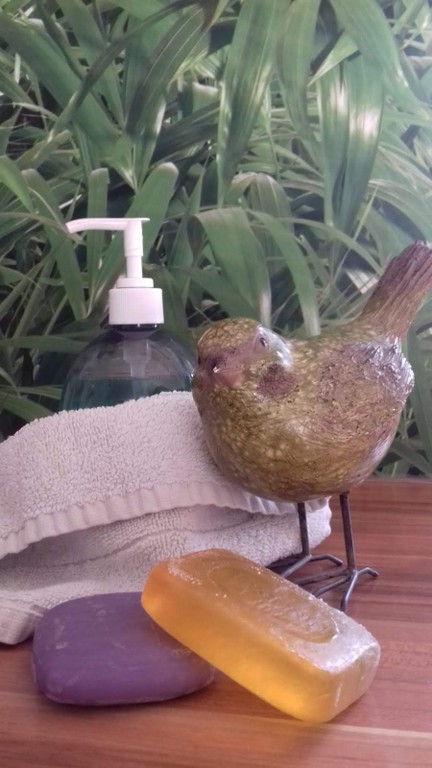 DIY Putzmittel©vogelfreiRAUM