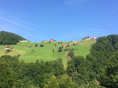 IMG_5655.jpg