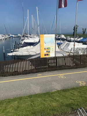 IMG_9093.jpeg