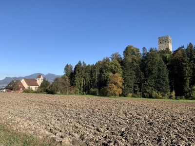 IMG_9479.jpeg