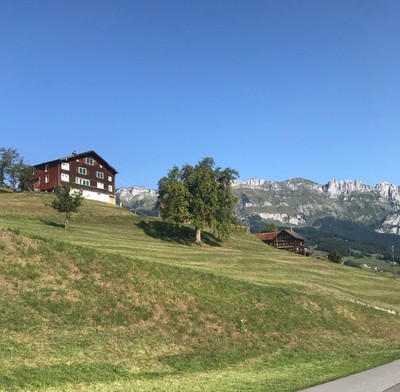 IMG_6979.jpg