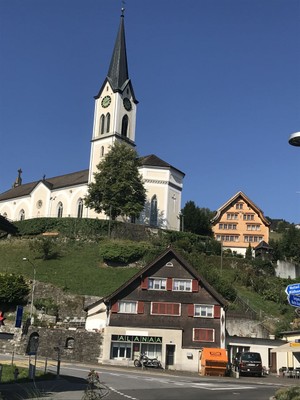 IMG_6982.jpg