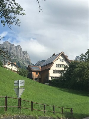 IMG_8146.jpg