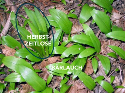 SICHERHEITSTIPP SICHERES VORARLBERG