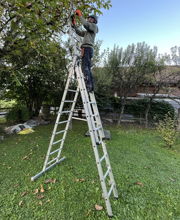 Arbeiten auf Leitern©Sicheres Vorarlberg