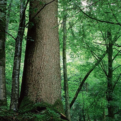 Umwelt aktuell
