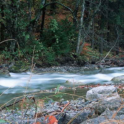 Wasserqualität