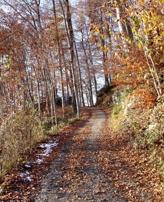 Impressionen Viktorsberg (8).jpg