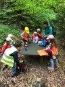 Ausflug in den Wald