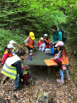 Ausflug in den Wald Ausflug in den Wald