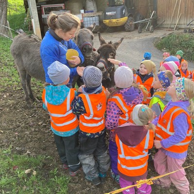 Besichtigung Bauernhof