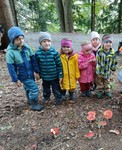 Frische-Luft-Tage im Wald Frische-Luft-Tage im Wald