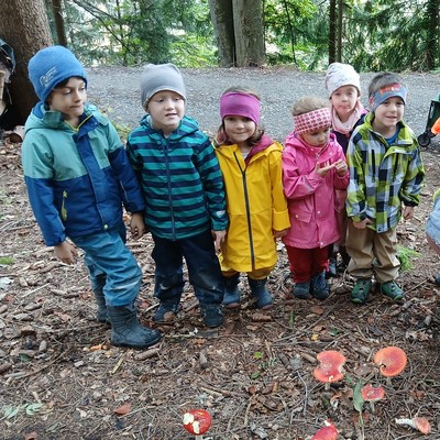 Frische-Luft-Tage im Wald