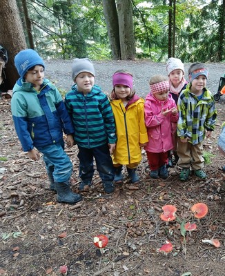 Frische-Luft-Tage im Wald
