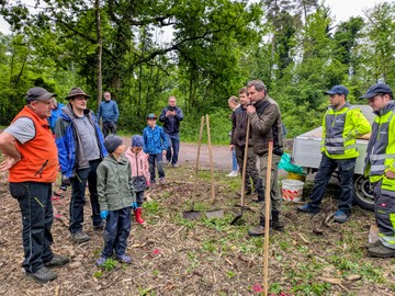 Aufforstaktion im Sulner Auwald - WALDzeit für Groß und Klein
