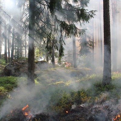 Erhöhte Waldbrandgefahr