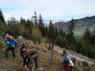 Unser Wald - Unsere Zukunft! Unser Wald - Unsere Zukunft!