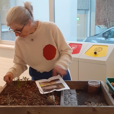 Wie bringen wir das Grün aufs Dach?