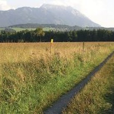 Regionale Erweiterung