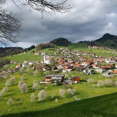 Fraxern