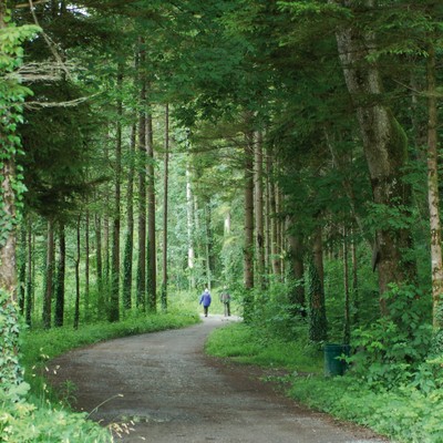Meiningen