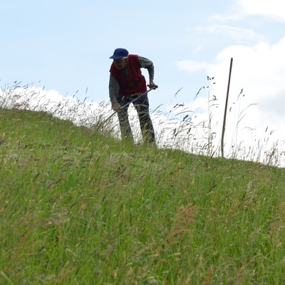 Landwirtschaft im „Garten Vorarlbergs“