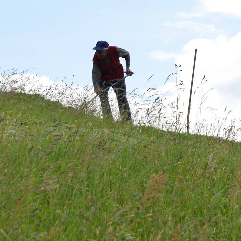 Landwirt bei der Bergmahd