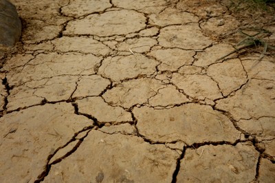 Trockenheit © Jeanette Seewald