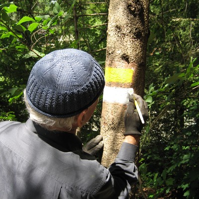 Wanderwegekonzepte Vorderland & Feldkirch