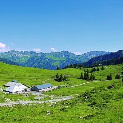 Alpe Saluver.jpg