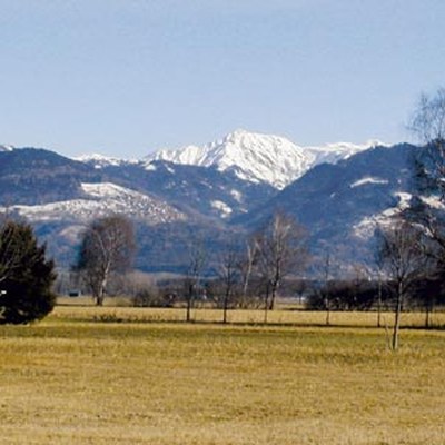 streueried_meiningen.jpg