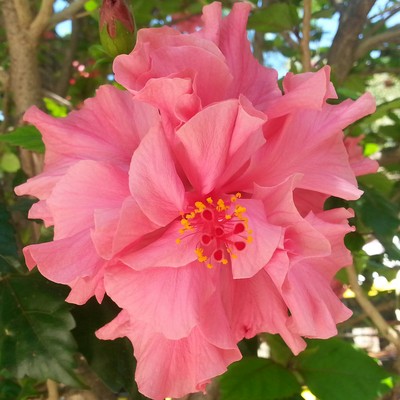 Senioren-Betreuung Feldkirch